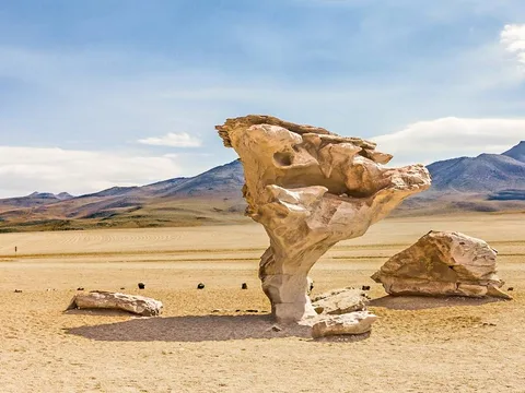 The Árbol de Piedra, a wind-carved rock The Árbol de Piedra, a wind-carved rock