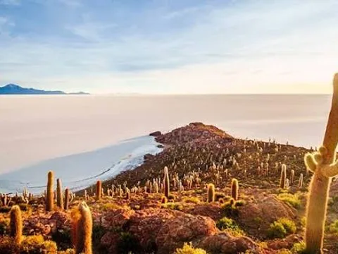 Giant cacti covering Incahuasi Island Giant cacti covering Incahuasi Island