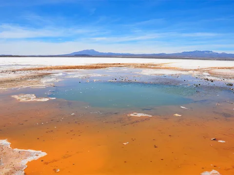 The ojos de sal, where water wells up through the salt crust The ojos de sal, where water wells up through the salt crust